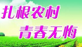 大學(xué)生村官選調(diào)生是公務(wù)員嗎？村官選調(diào)生和選調(diào)生什么區(qū)別？有編制嗎？
