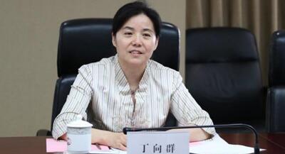廣西副主席丁向群，調(diào)任安徽省委常委、組織部部長(zhǎng)，曾任國(guó)開行副行長(zhǎng)(丁向群簡(jiǎn)歷)
