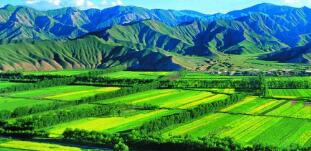 廣西農(nóng)村投資集團待遇怎么樣？廣西農(nóng)業(yè)信貸擔保公司工資多少？中層如何？