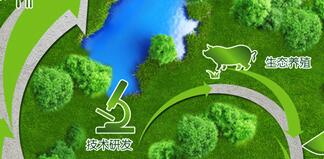 雛鷹集團(tuán)侯建芳簡(jiǎn)歷，侯閣亭、李花、侯五群、吳易得、丁美蘭等領(lǐng)導(dǎo)班子