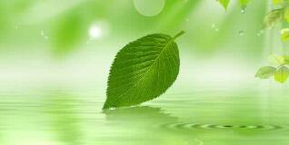 南寧八菱科技怎么樣？待遇怎樣，為什么被譴責(zé)？年產(chǎn)多少錢？