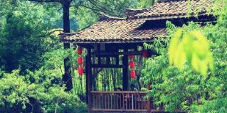 廣西廣投文化旅游公司梅以軍簡歷，廣西廣投文旅和廣西投資集團啥關(guān)系？